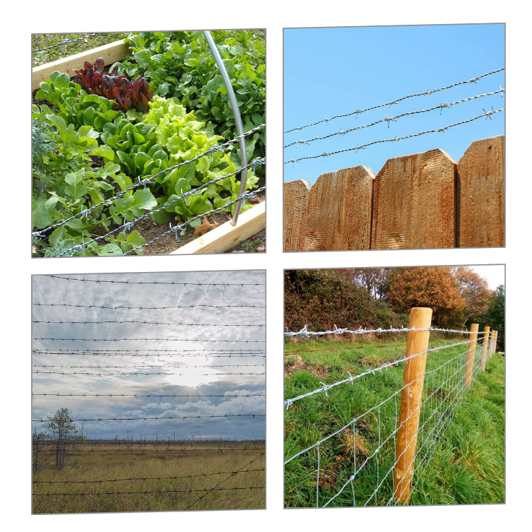 galvanized barbed wire price