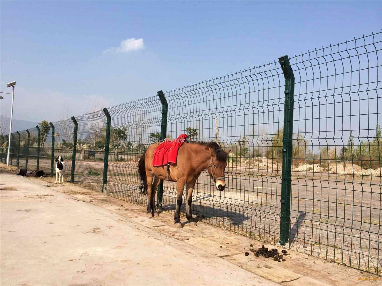 The necessity of breeding fence net