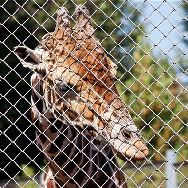 black rolled wire fencing