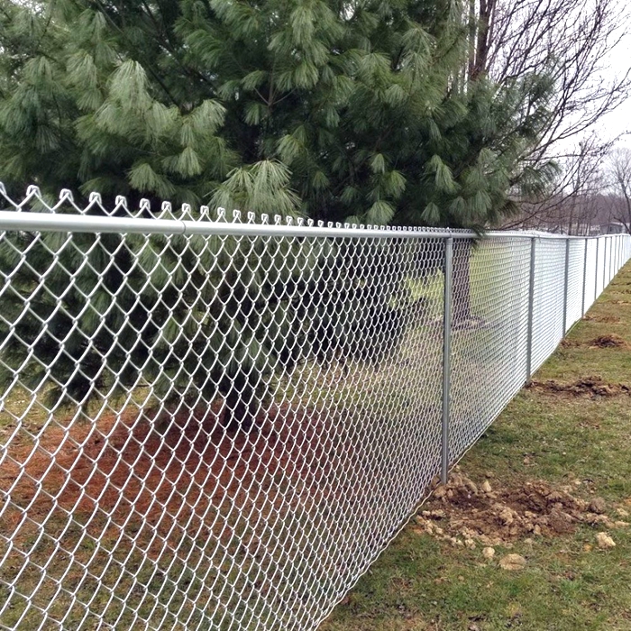 Chain Link Fence: Weaving a Harmonious Boundary Between Nature and Safety