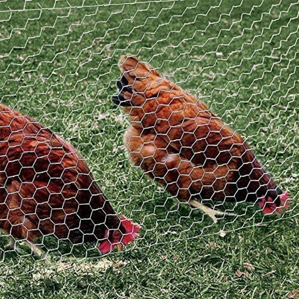 Introduction to breeding fence net and how to install it
