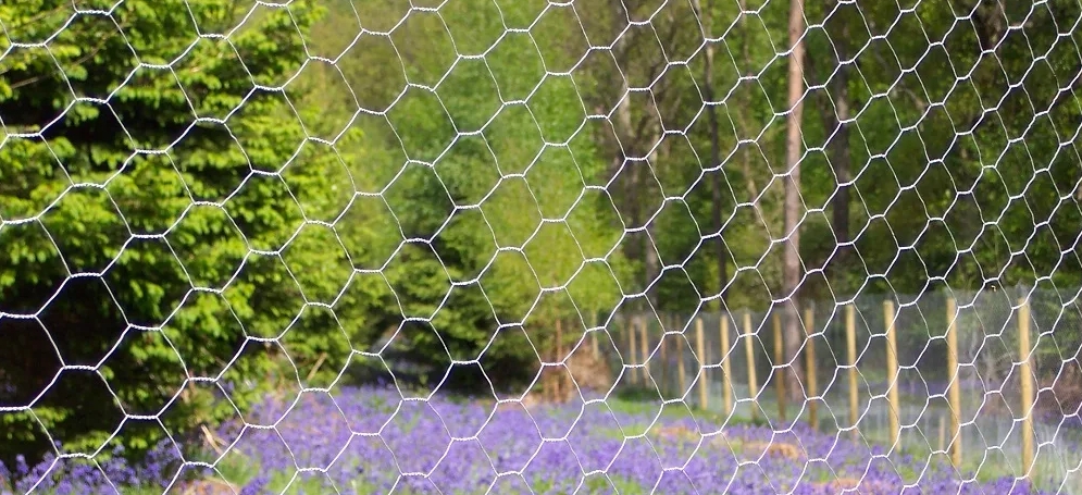 Safety of Hexagonal Fence