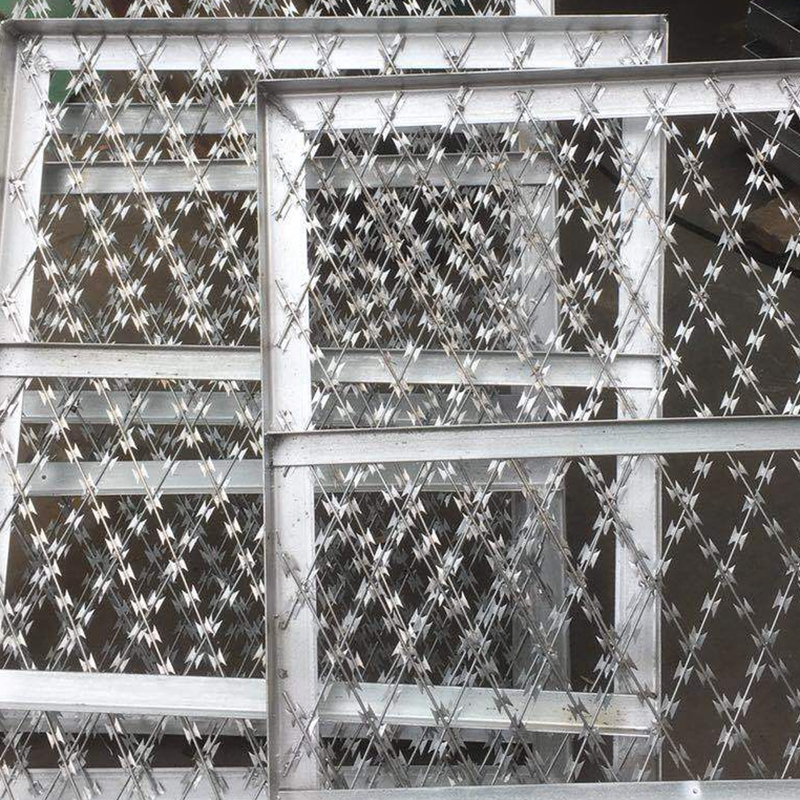bird wire mesh
