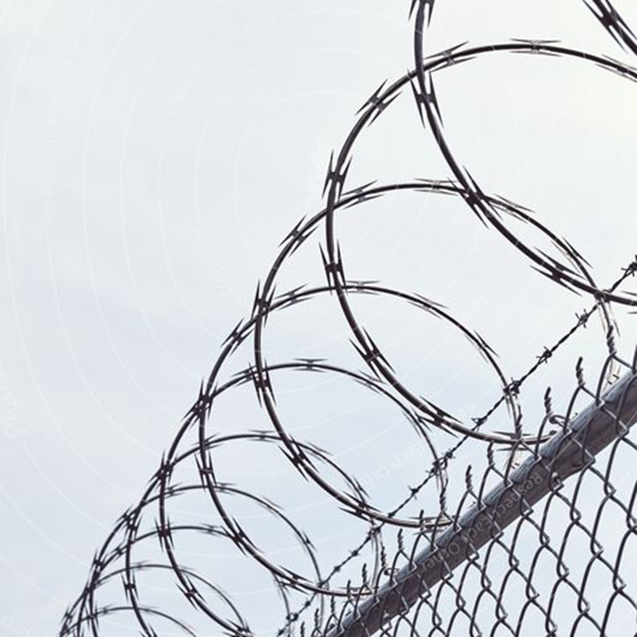 Wall blade barbed wire