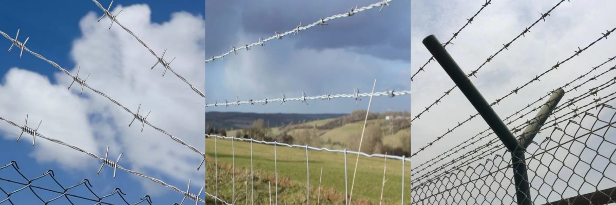 barbed wire