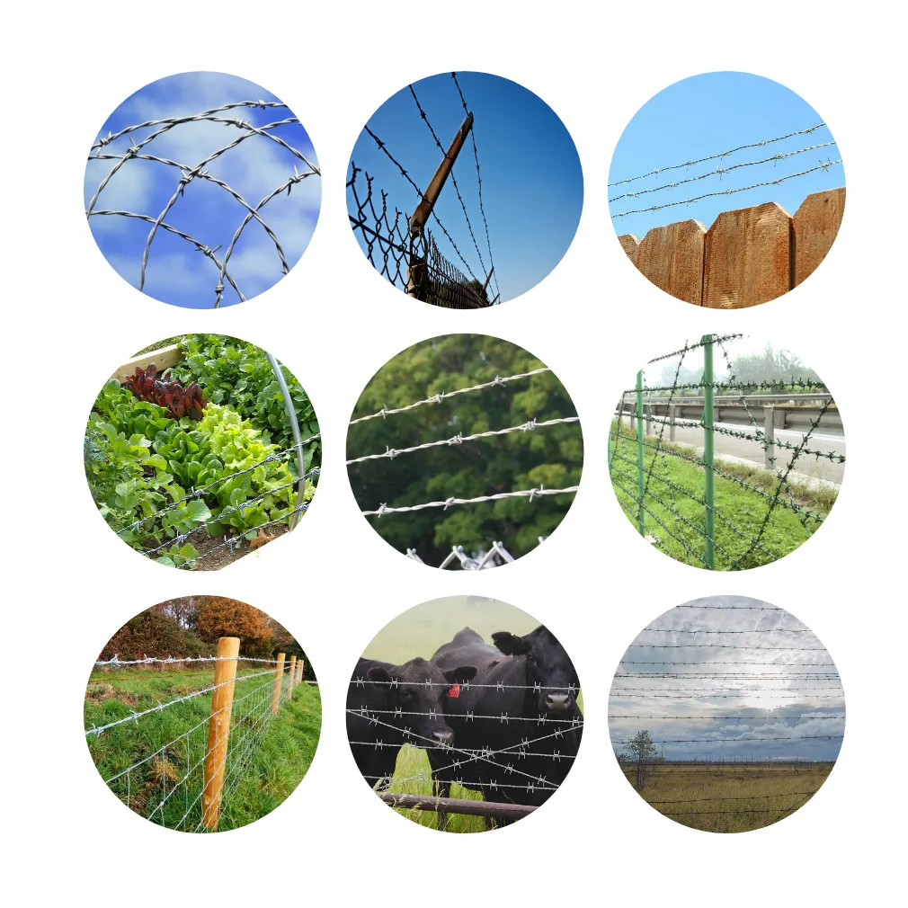 Razor Wire & Barbed Wire Fence – High-Security Perimeter Protection System