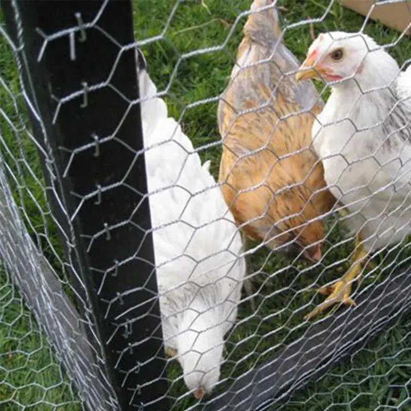 Hexagonal Poultry Farming Net, Ideal Farm Breeding Isolation Mesh