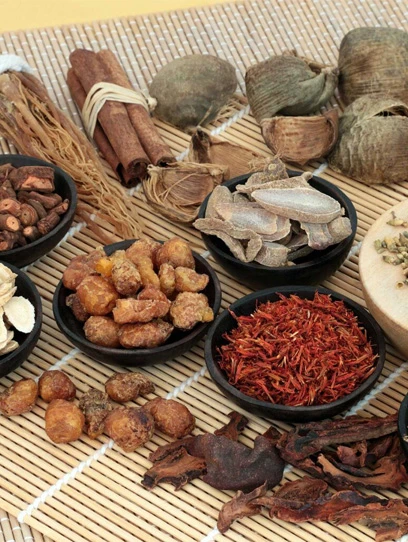 Barley Seed For Beer Key To Quality Brewing