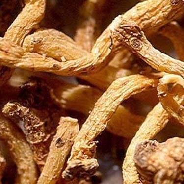 Polygonati Odorati Rhizoma: Authentic Chinese Healing Herb