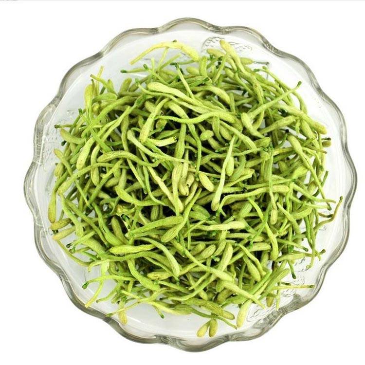 types of honeysuckle