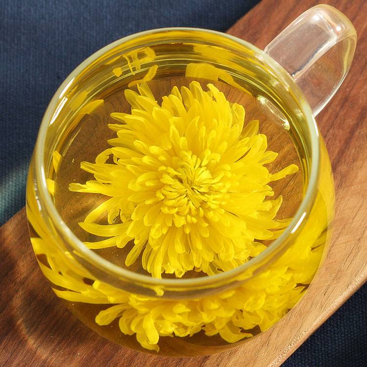 Premium Chrysanthemum Tea for Sale – Fresh Buds, Wholesale