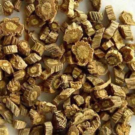 Siler Root: Natural Health Benefits & Uses