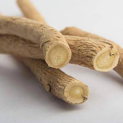 astragalus herb