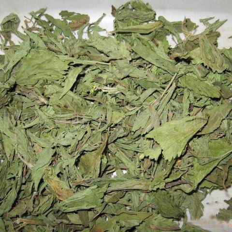 Premium Stevioside Bulk Powder - Natural Zero-Calorie Sweetener