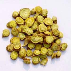 Scutellaria Extracts: Lab-Tested, Standardized—Why Us?