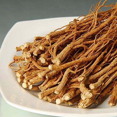 Bupleurum root