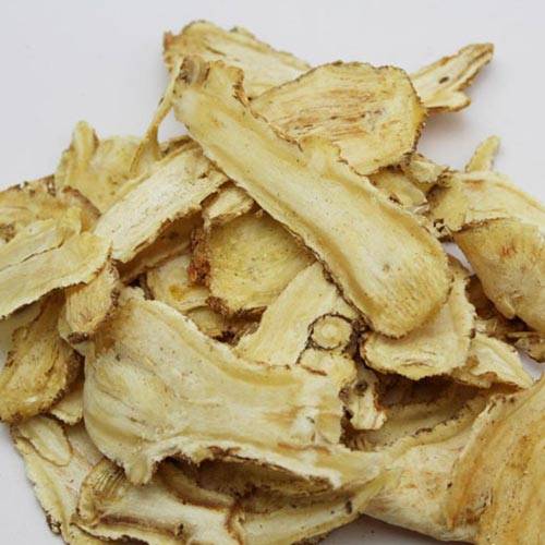 Explore Types of Angelica: Find Angelica Root Herbs for Sale