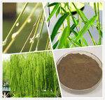 Exploring Types of Chrysanthemum Tea – Benefits, Varieties & Global Trends | Hex Herbal Medicine