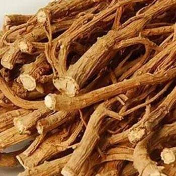 bupleurum chinense root