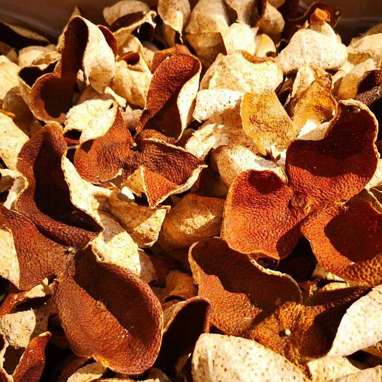 tangerine mature peel