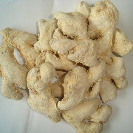 ginger extract bulk