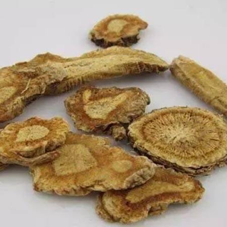 Siler Root: Natural Health Benefits & Uses