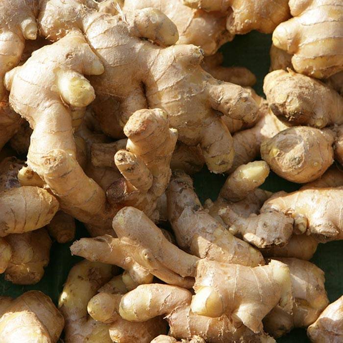 ginger extract for sale