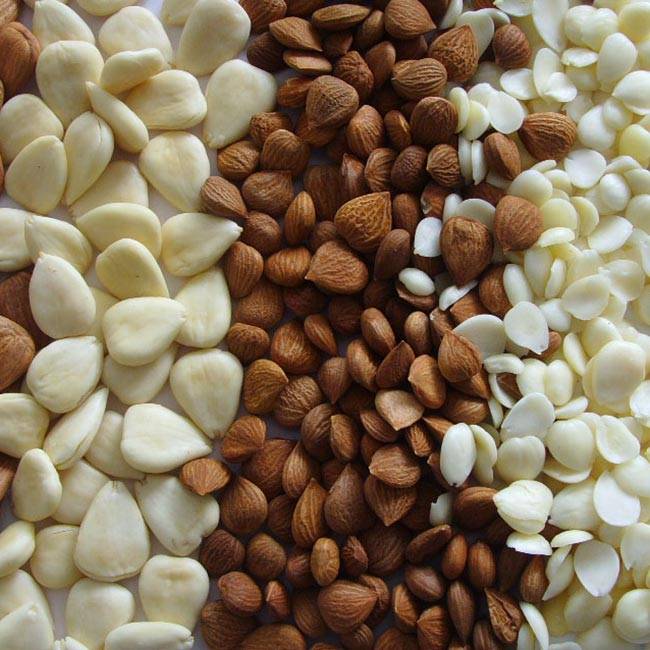 different types of almonds