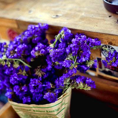 Forget Me Not Tea – Calming, Caffeine-Free Floral Wellness