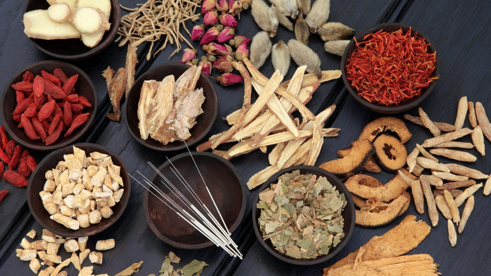 The Living Wisdom of Five Millennia