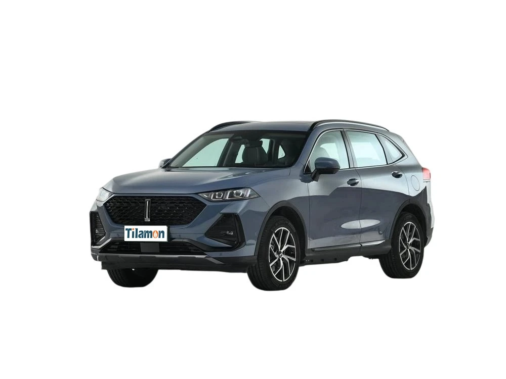 2022 Great Wall Motors Latte DHT-PHEV 1.5T Super Cup