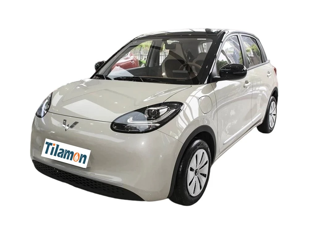 2025 Wuling Bingo 203km Light Enjoy Edition