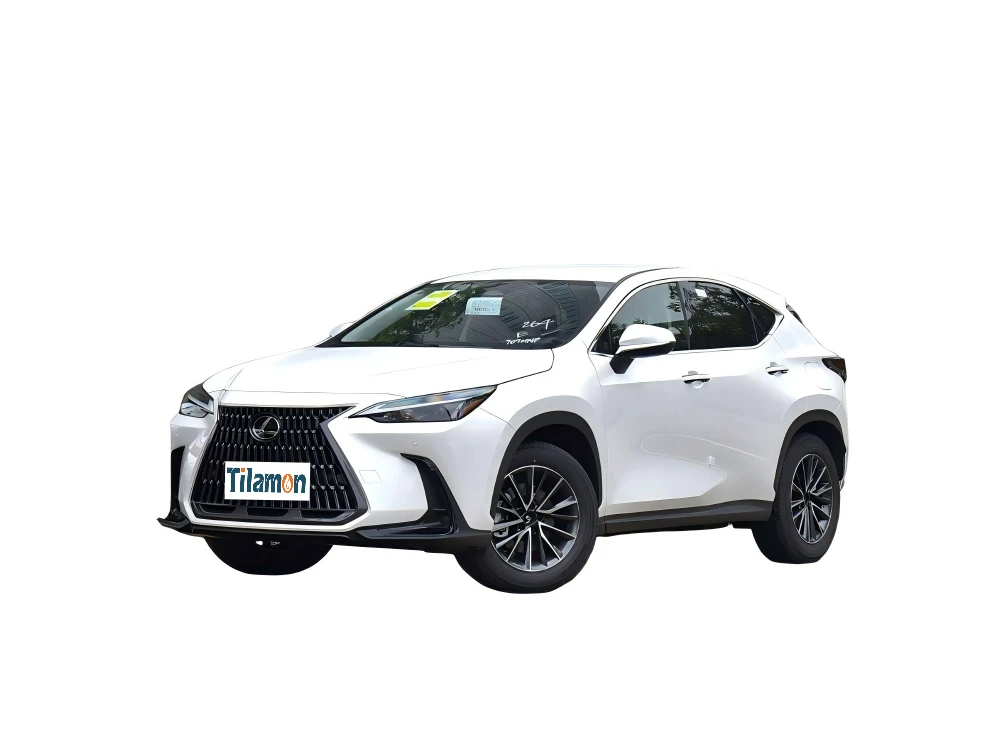 Lexus NX 2025 200 FUN