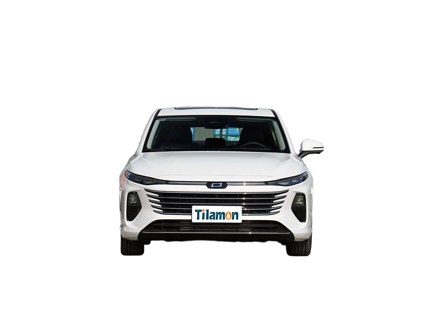 Bestune B70 2025 Dragon Glory Edition 1.5T Premium Edition