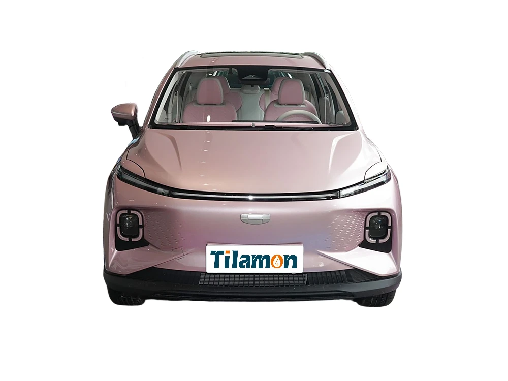 Geely Geometry E Firefly 2024 301km Dragon Ascension Edition