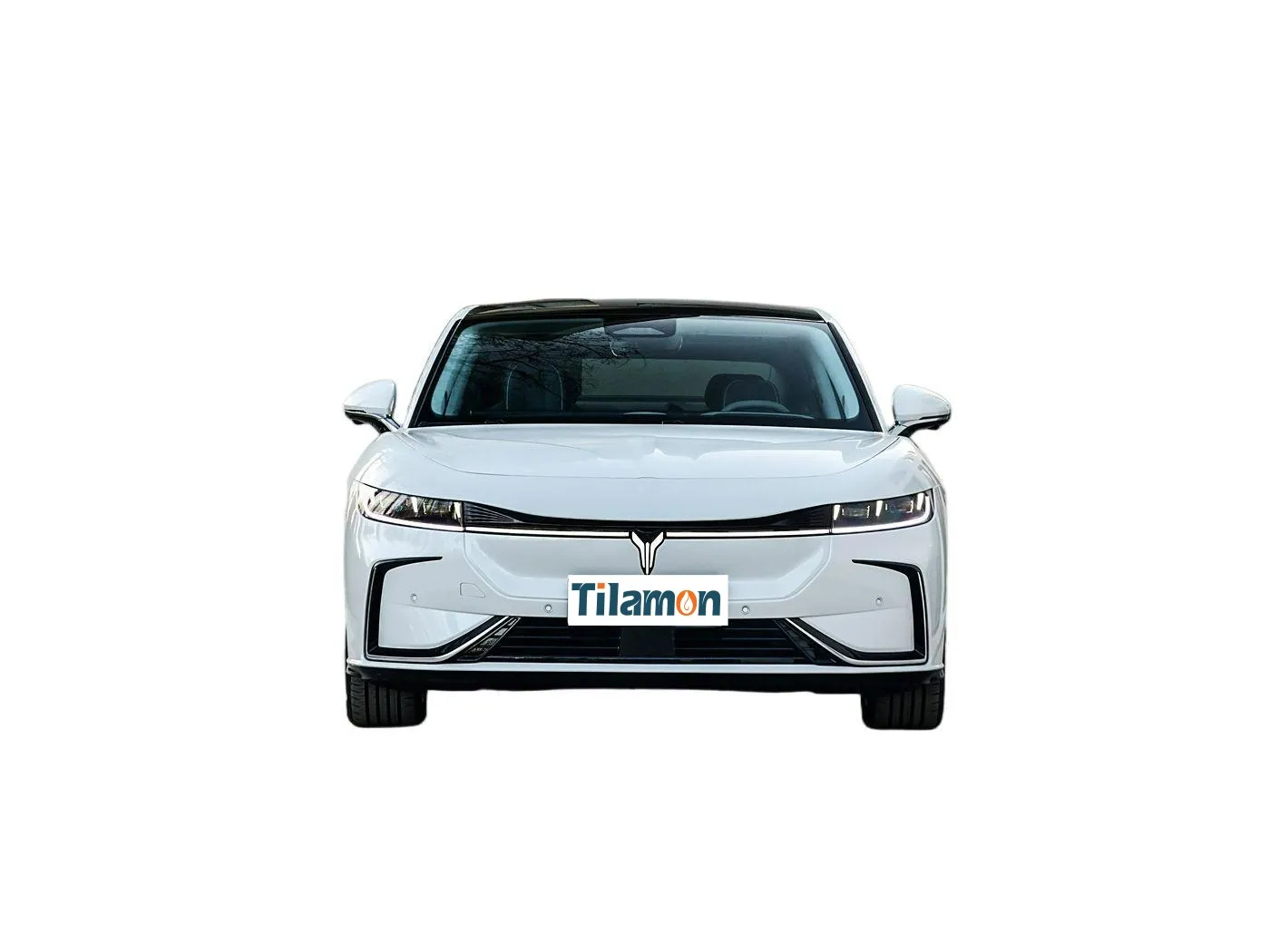 2024 VOYAH ZHUIGUANG PHEV 1.5L 4WD Long-Range Executinve Edition