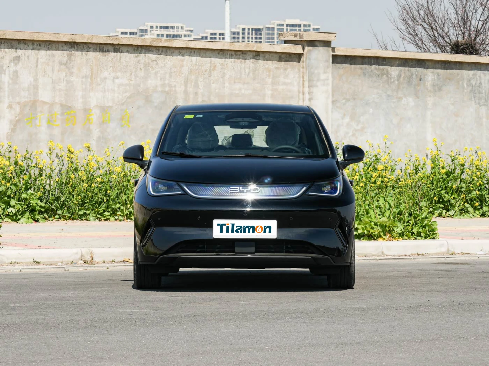 Dolphin 2025 420km Free Intelligent Driving Edition