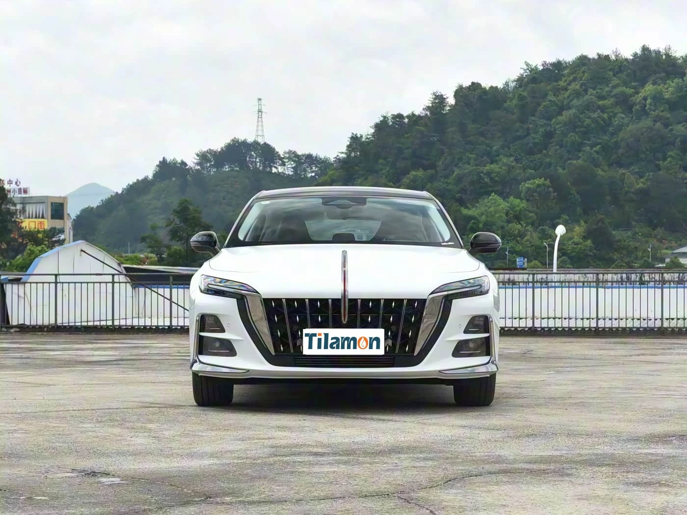 Hongqi H6 2025 2.0T Zhixing Edition