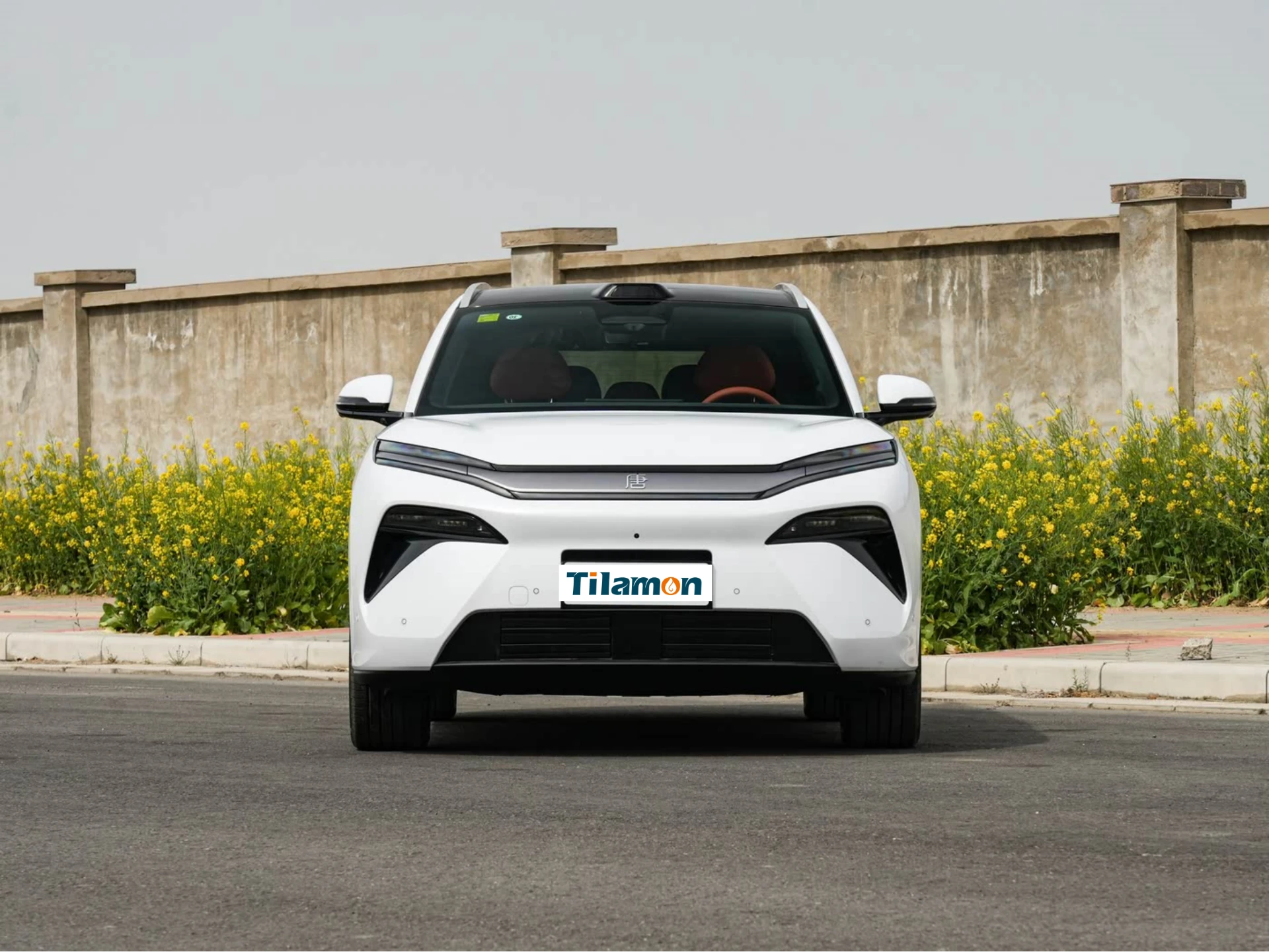 Tang L 2025 DM 215KM LiDAR Flagship Model