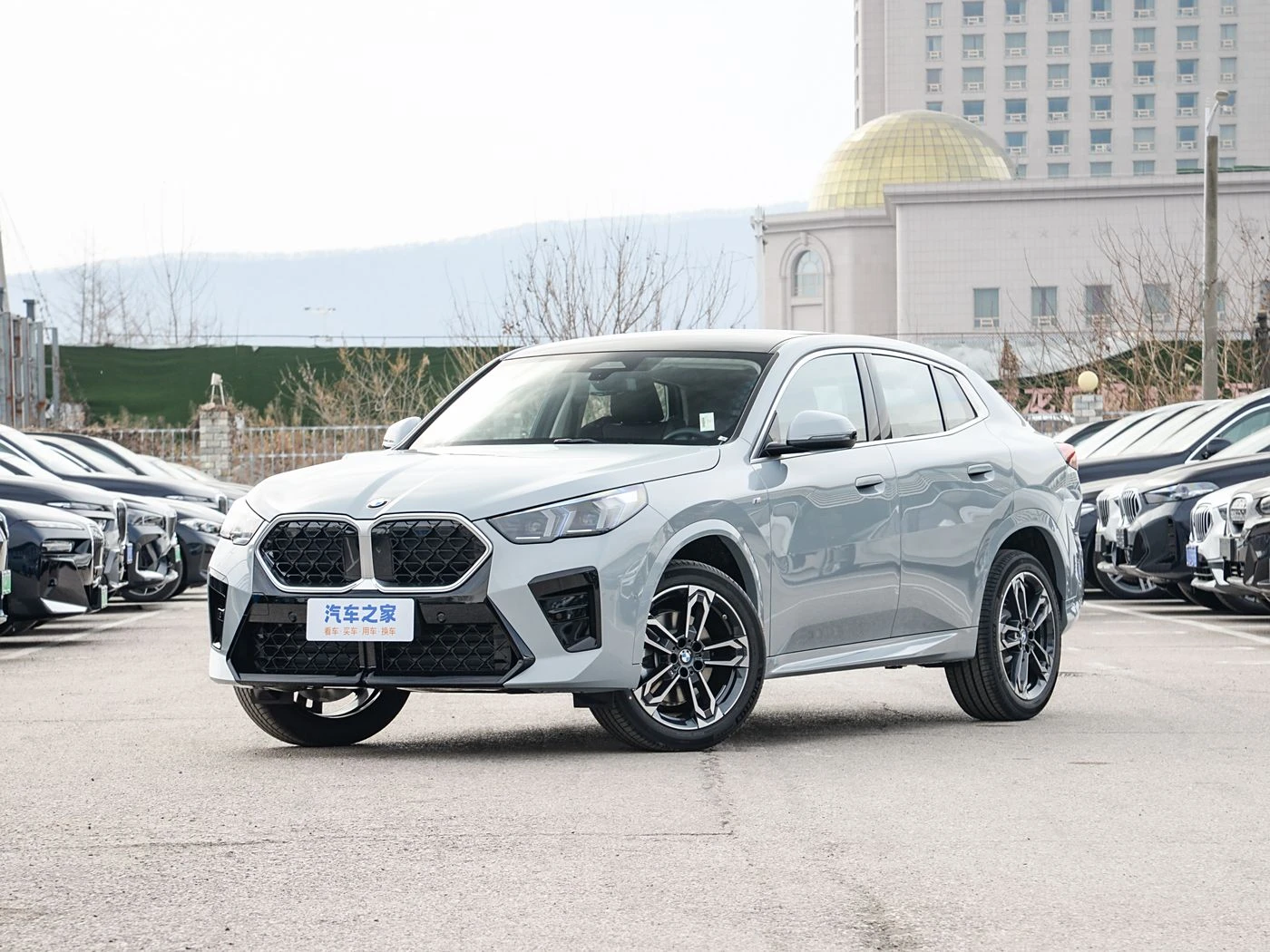 BMW X2