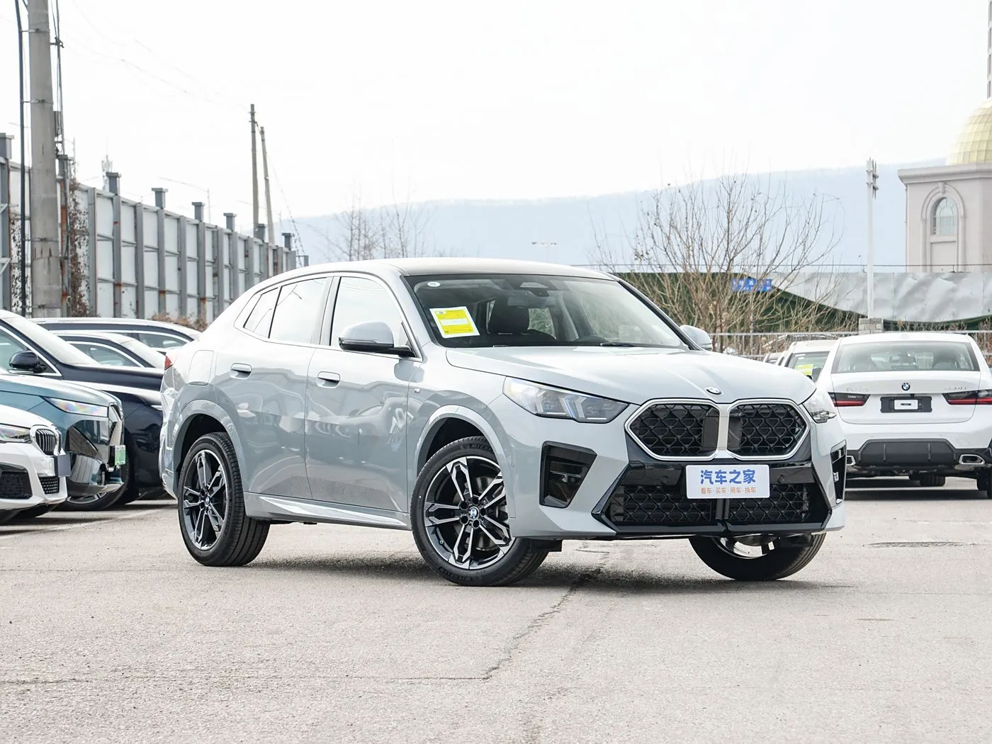 BMW X2