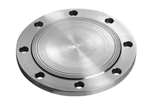 ANSI RF Stainless Steel Forged Blind Flange: Reliable Sealing Solutions for Industrial Pipeline Systems