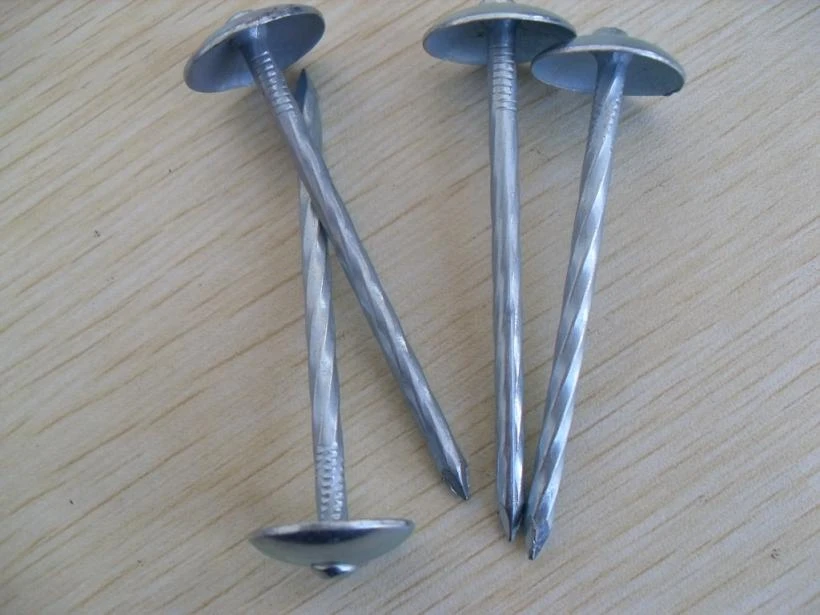 Reliable Roofing Solutions with Protruding Roofing Nails and Ring Shank Coil Roofing Nails  