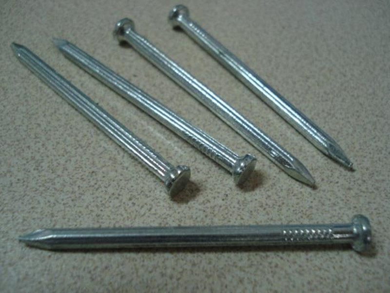 Smooth Shank Galvanized Steel Concrete Nail