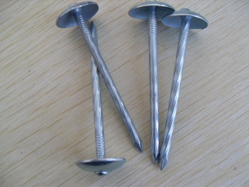 Best Quality Umbrella Head Roofing Nail