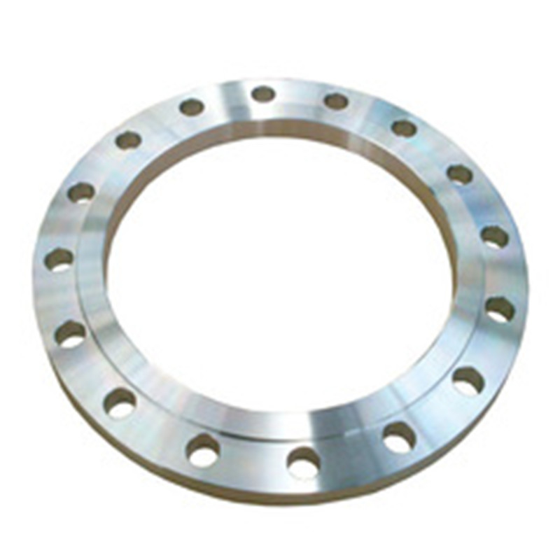 Stainless Steel Threaded Forged Flange