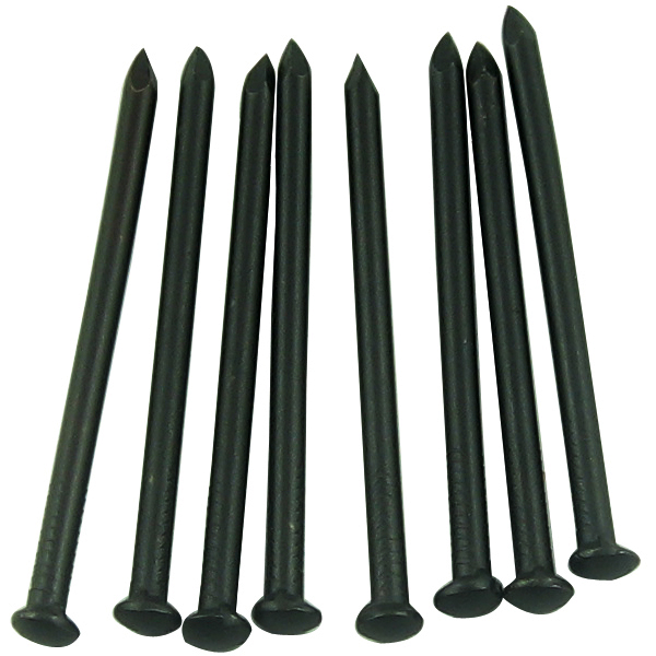 Polished Common Wire Nails