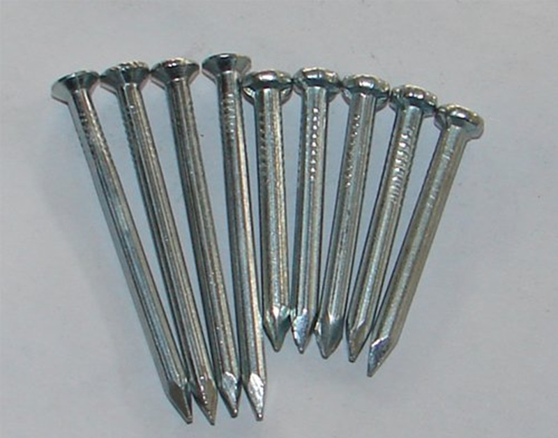 Polished Common Wire Nails