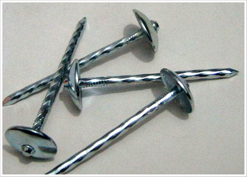 Umbrella Head Roofing Nails