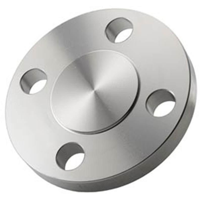 Stainless Steel Threaded Forged Flange
